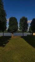 A scenic view of a lake with tall, green trees lining the edge photo