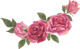 Pink rose wreath illustration on transparent background. png