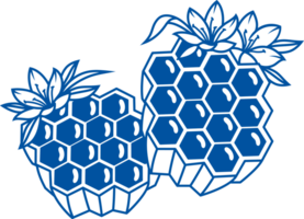 Two honeycombs with honey created after collecting flower pollen, for design natural products store png