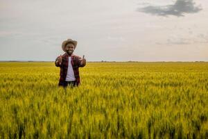 Young happy farmer showing thumbs up while standing in his growing wheat field. photo