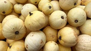 A close up shot of butternut squash piled in a bin, showing their smooth, yellow skin and brown stems photo