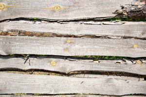 Close-up of a rustic wooden fence with weathered boards and visible knots photo