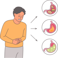 Man suffers from abdominal pain due to stomach problems and needs help of gastroenterologist. Heartburn and gastritis in young guy leading unhealthy lifestyle causing stomach overload png