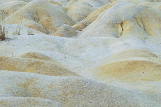 desert on Bintan Island during the day with sunny weather. with white and wet sand photo
