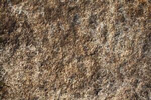 Background image of sandstone surface for use in design photo