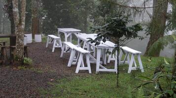 Misty Forest Outdoor Seating Area with White Wooden Tables and Benches in a Serene Natural Setting photo