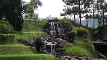 Serene Waterfall Flowing Through Lush Green Hillside with Pine Trees and Vibrant Foliage in a Tranquil Garden Setting photo