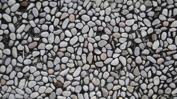 Close-Up View of Small Round Pebble Stones in Various Shades on a Black Surface photo