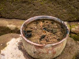 incense in a clay pot that is submerged in water because the weather often rains in the temple area in the mountains photo