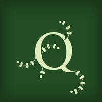 Premium leaf typography, Letter Q Initials Logo. Symbol icon design. Unique leaf combination. Flat Design. vector