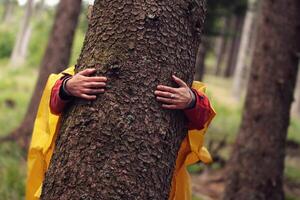 woman in forest - hands hugging tree trunk in forest photo