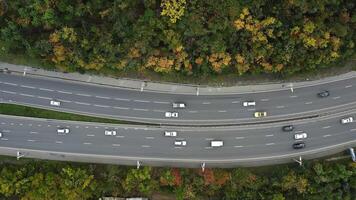 aéreo ver de un autopista con carros conducción a lo largo eso en un otoño bosque video