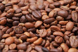 fresh coffee beans on black background photo