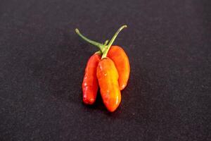 Red cayenne pepper or Capsicum frutescens with very spicy taste isolated on dark background photo