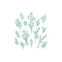 design of various leaf patterns vector