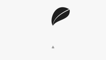 Black white animation of leaf with water drop falling into puddle, creating ripples, ideal for nature or environmental video