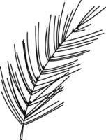 Coniferous tree branch, pine, spruce branch illustration. Hand drawn doodles illustration.Line art vector