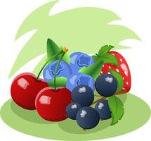 Assortment of freshly picked berries lying on green leaves with a green background vector
