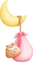 Baby element, baby shower element vector