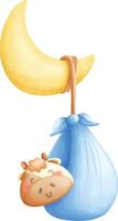Baby element, baby shower element vector