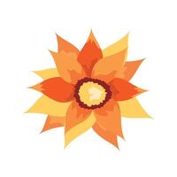 Flower Autumn Watercolor Set vector