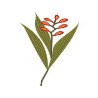 Flower Autumn Watercolor Set vector