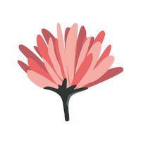 Flower Autumn Watercolor Set vector