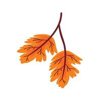 Flower Autumn Watercolor Set vector