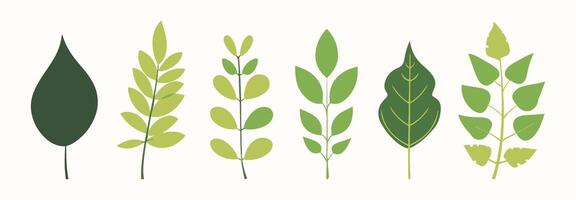 Tree and leaf collection hand drawn flat design element. botanical set of bare trees and ones with leaves and lush limited pastel color vector