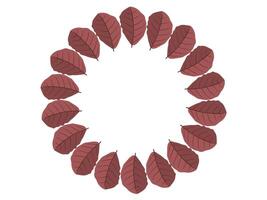 Autumn Leaves Circle Frame Background vector