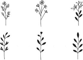 Minimalistic Botanical Element Art vector