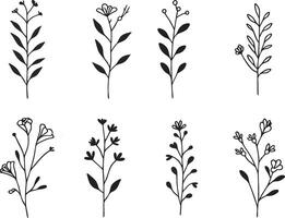 Minimalistic Botanical Element Art vector