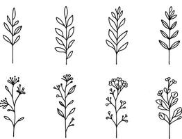 Minimalistic Botanical Element Art vector