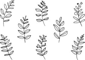 Minimalistic Botanical Element Art vector