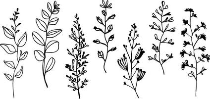 Minimalistic Botanical Element Art vector