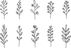 Minimalistic Botanical Element Art vector