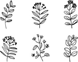 Minimalistic Botanical Element Art vector