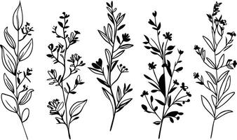 Minimalistic Botanical Element Art vector