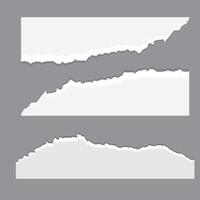 White ripped paper strips collection. Realistic paper scraps with torn edges. Sticky notes, shreds of notebook pages. vector