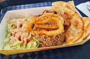 The food was bought from Doner Kebab, which contained briyani rice, roti canai, photo