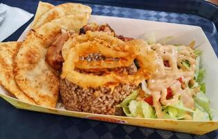 The food was bought from Doner Kebab, which contained briyani rice, roti canai, photo