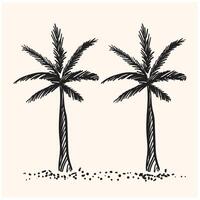 Palm tree With illustration style doodle and line art vector