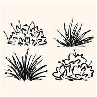 Shrub of various shapes, bush of grass With illustration style doodle and line art vector