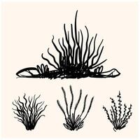 Shrub of various shapes, bush of grass With illustration style doodle and line art vector