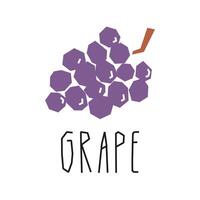 Grape cartoon illustration and text isolated on white. Bunch of grapes geometric logo, print, design. vector
