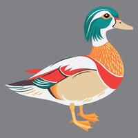 A colorful duck eps vector