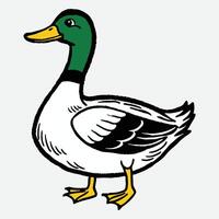 A colorful duck eps vector