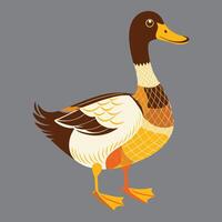 A colorful duck eps vector