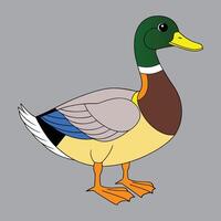 A colorful duck eps vector