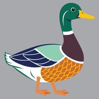 A colorful duck eps vector